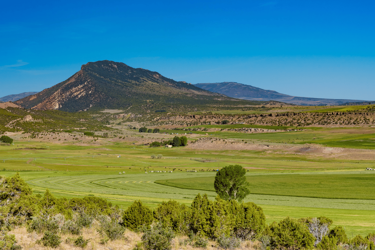 Farmland in Northern Utah